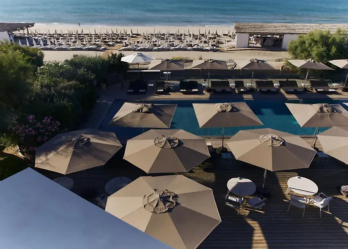 Animaux admis Plage Palace&Spa